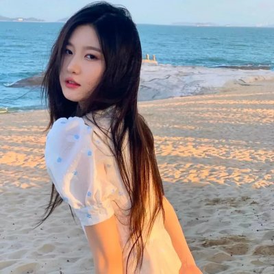 报告王爷，王妃是只猫2